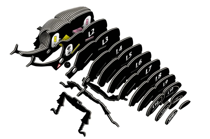 EUGY · Escarabajo Rhino