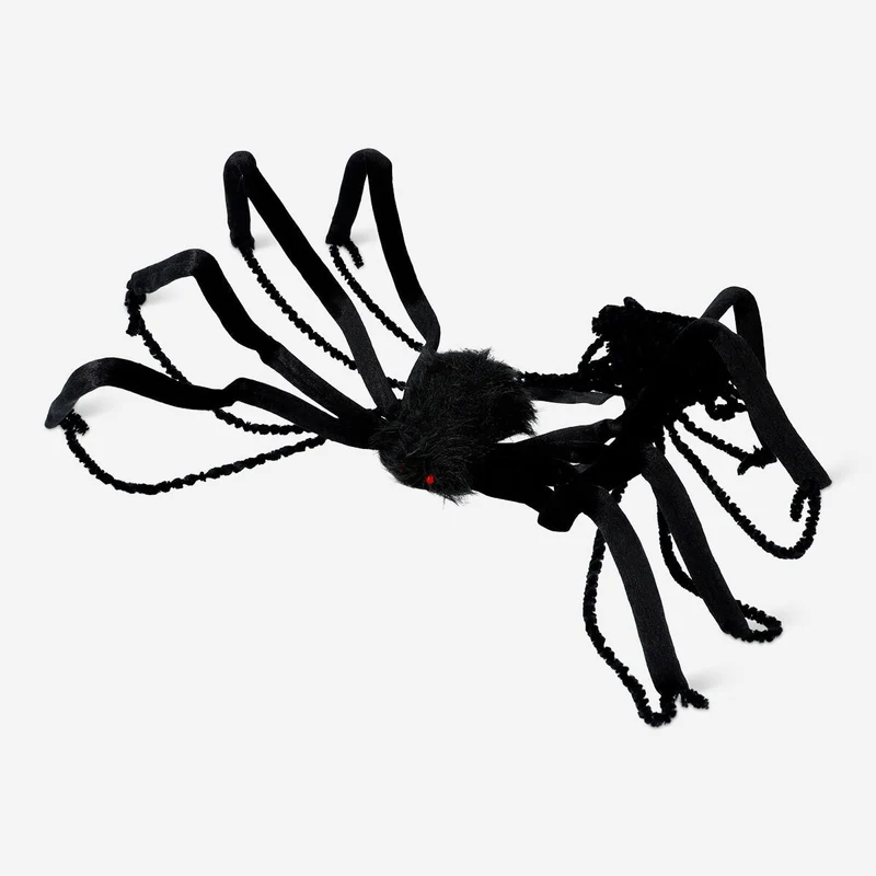 Decorative Spider with Long Legs