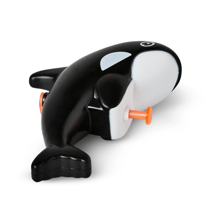 Water blaster