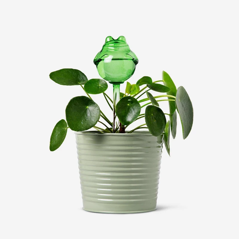 Frog watering spike