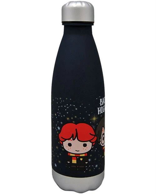 Botella Back To Hogwarts - Harry Potter 650ml