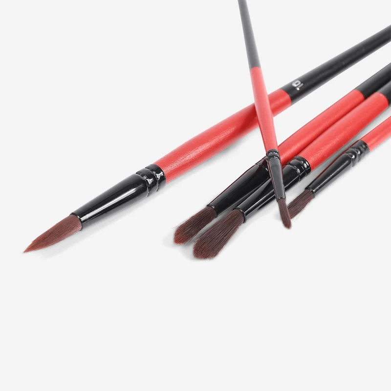 Paint Brushes - 5 pcs